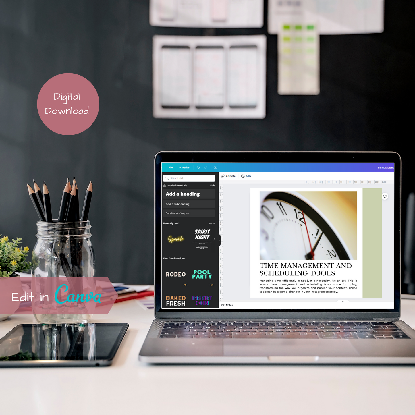PLR Faceless Digital Marketing Guide