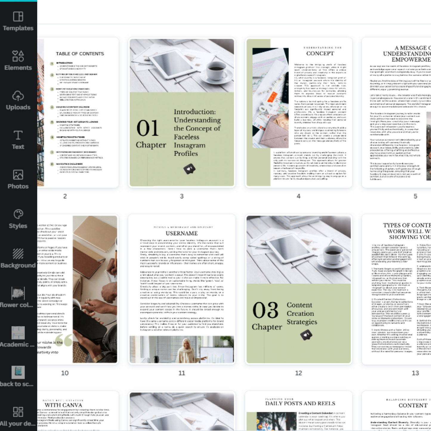 PLR Faceless Digital Marketing Guide