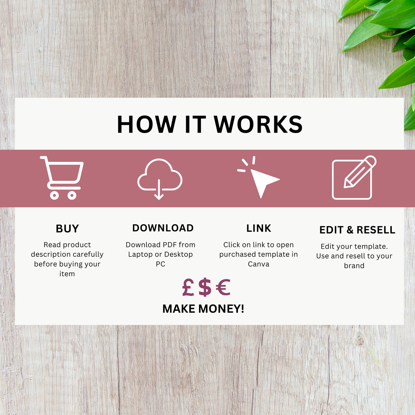 PLR Faceless Digital Marketing Guide