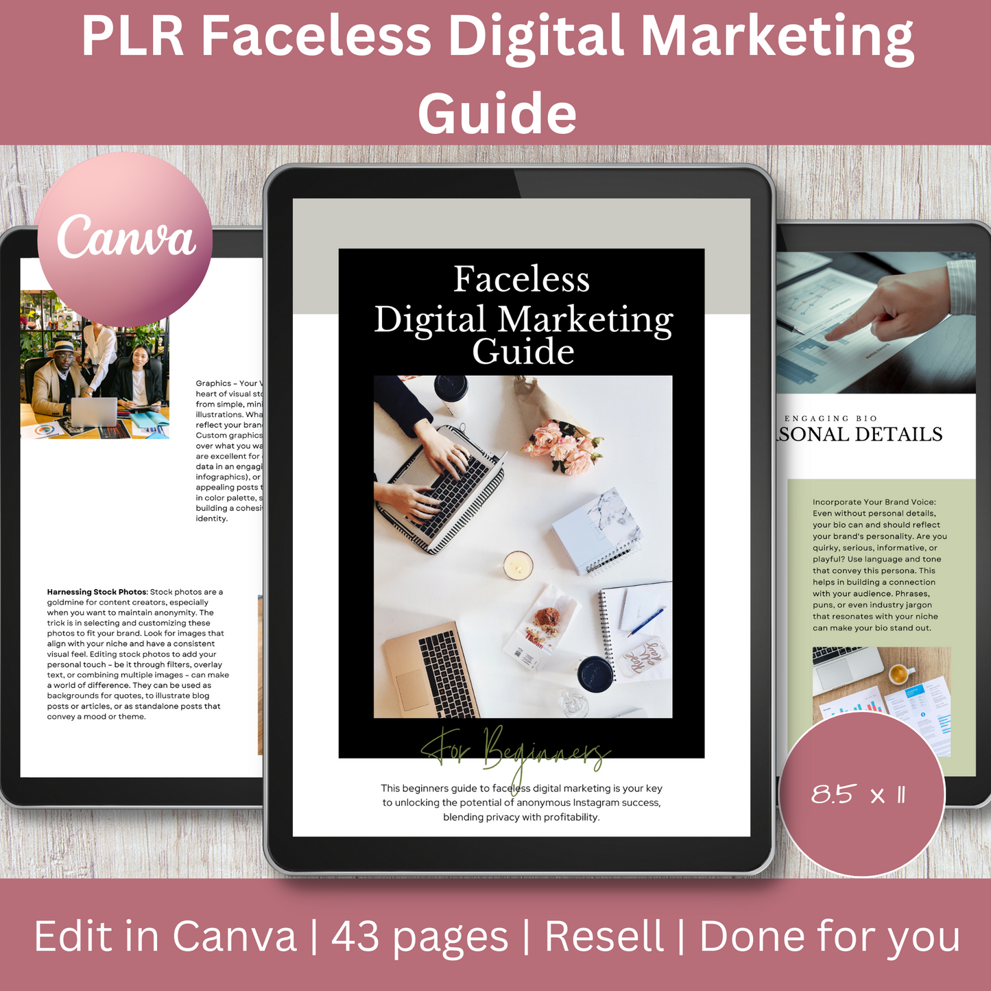PLR Faceless Digital Marketing Guide