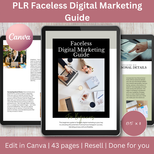 PLR Faceless Digital Marketing Guide