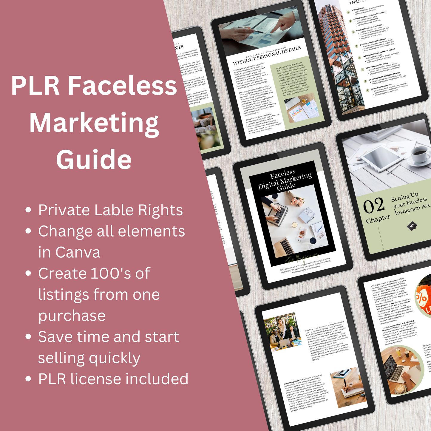 PLR Faceless Digital Marketing Guide
